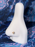 Twinkle Nose Ring