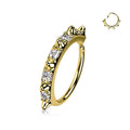 Spike Hoop Nose Ring